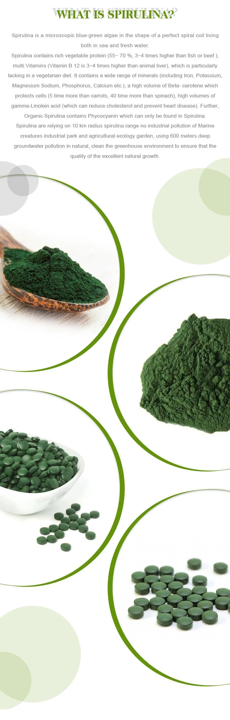 Slimming Anti-Cancer Diabetes Healthcare Product Organic Spirulina Tablets in Bulk